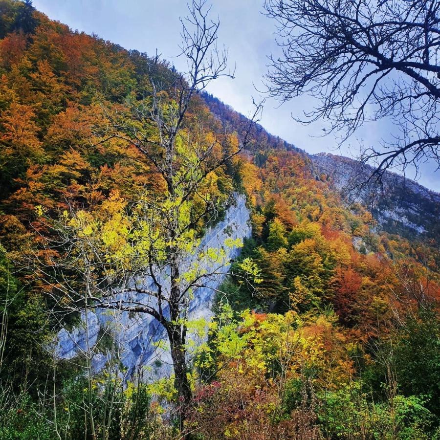 Gite Les Moulins Septmoncel-Les-Molunes Екстер'єр фото